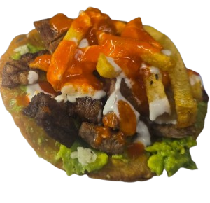 CARNE ASADA FRIES